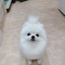 김포24시힐동물의료센터 이미지