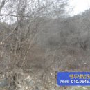 김삿갓면-10 이미지