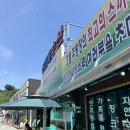 대륙수산 | 속초 대포항 횟집 ㅣ 스끼다시 푸짐한 회맛집 신대륙수산