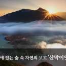 역사힐링코스 이미지