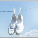 둥지컴퓨터세탁소 이미지