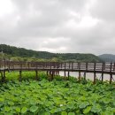 고복수변공원 | 세종시 고복자연공원(고복저수지 둘레길)