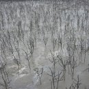 바다자원 이미지