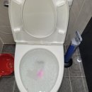 조치원교동초등학교 이미지