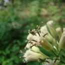 충북알프스자연휴양림 이미지