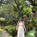 입지목장 | [치앙마이 7박8일] 4일차🚐 치앙라이 당일투어 (화이트템플·블루템플·싱하목장·후어이쁠라캉)