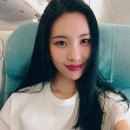 선미 카카오 검색결과