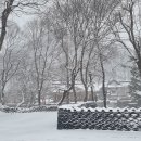 마곡사3 이미지