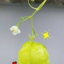 좋은날만 이미지