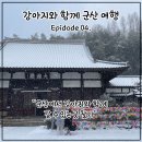 군산 지린성, 초원 사진관, 은파호수공원, 군산 항쟁관... 군산에서 강아지 동반 가능한 곳 찾기