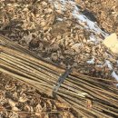 (주)한지 이미지