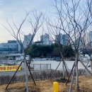 선운지구 | 광주 기러기농원 꼭 가봐야할 선운지구 맛집 후기