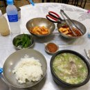 대아설렁탕 Daum카페