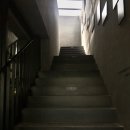 파스쿠찌북