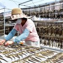 진흥목장 이미지