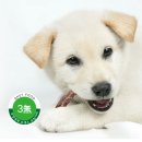 에스펫푸드