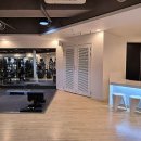 더휘트니스 이미지