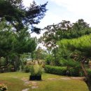 초락당한의원 이미지