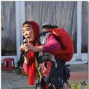 품바 Daum카페