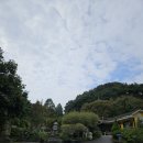 청양유치원 | 청양 고운식물원 스탬프투어