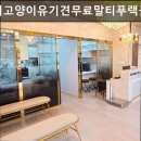 강아지고양이유기견무료말티푸랙돌먼치킨포메라니안