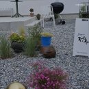 스테이정동 | 강동면펜션 스테이정동 아늑한 정취의 펜션