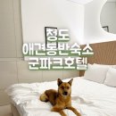 체리애견 | [청도군파크호텔] 체리와 함께한 청도애견동반숙소 이용후기
