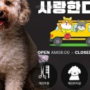사랑한다, 멍 네이버블로그