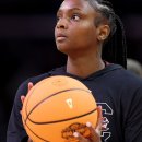 ELITE FIT 24 이미지