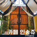 인송쥬 | 대구 근교 성주 이색식물카페 실내카페 인송쥬(내돈내먹)(솔직후기)