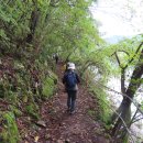 강변유원지길 이미지