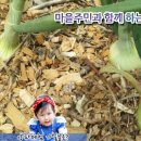 꿈이익는영농조합법인 이미지