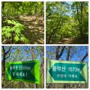 황악산 (2025 0429)