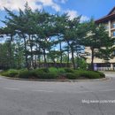 하늘카클리닉 이미지