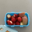 씨유 대구태전현대점 | 2월 주간일기 #1