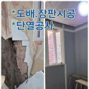 평안설비 | 하남, 남양주, 분당/반복된 도배 심각한 천장 보수 벽체 도배와 단열공사 장판 시공 후기