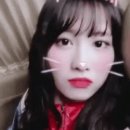 모모케이크 이미지