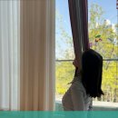 곧음스튜디오