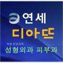디아뜨 2 네이버블로그