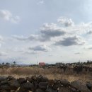 제주집 두모공 이미지