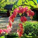 산승은 운수게를 읊고 학사는 성정시를 읊네. 이미지