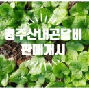 아세아정형외과의원 이미지