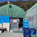 삼부자미나리 이미지