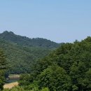 박사농장 이미지