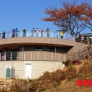 선학산전망대 이미지