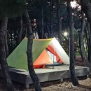 솔밭공원1 이미지