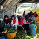 덕산읍행정복지센터 이미지