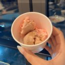 샤브 홀릭오다 이미지