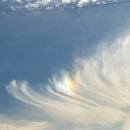 인지컴퓨터 | 정신과에서 성인adhd검사후기(보험, 가격, 면담, 자가진단, 컴퓨터 검사)