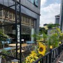 정아애견 이미지